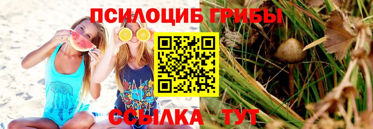 Рузаевка  Галлюциногенные грибы MAGIC MUSHROOMS  Вход с VPN 