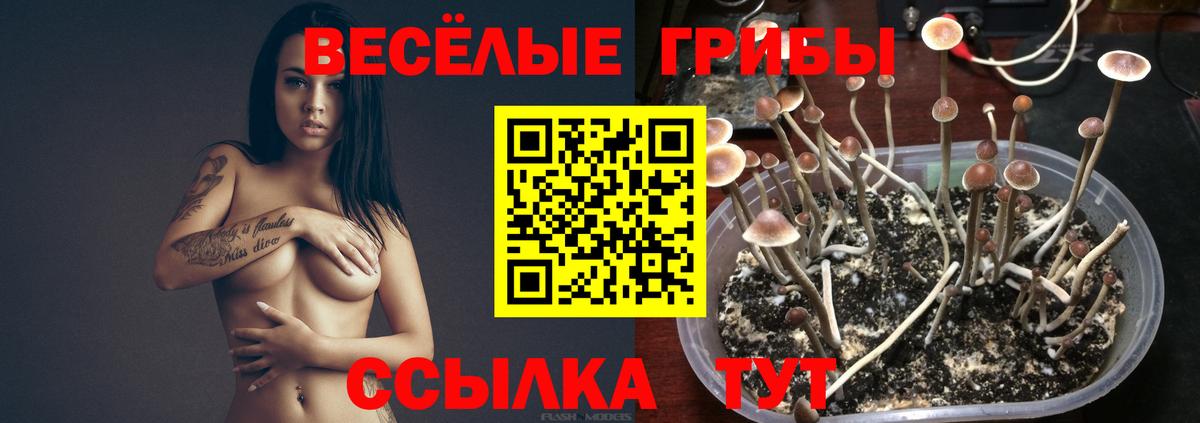 Галлюциногенные грибы Magic Shrooms Рузаевка